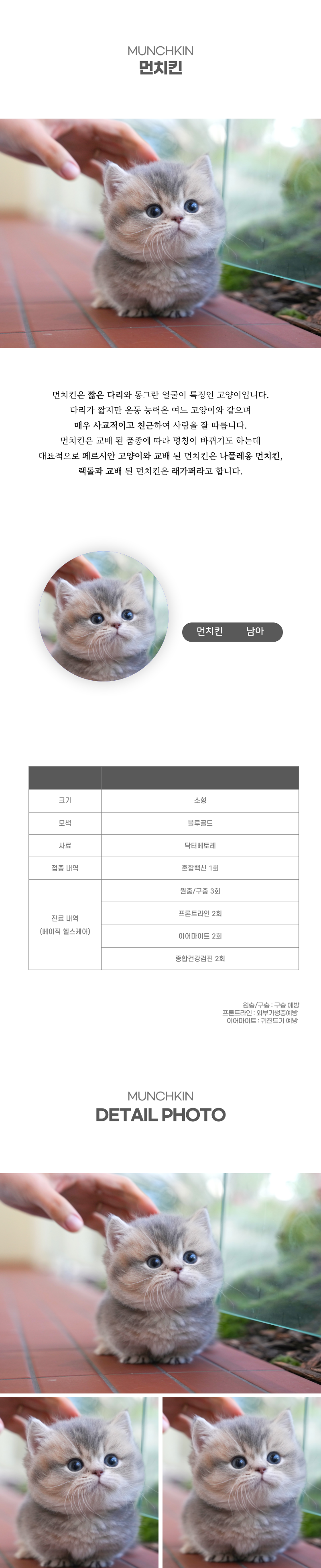 먼치킨_상세이미지_2
